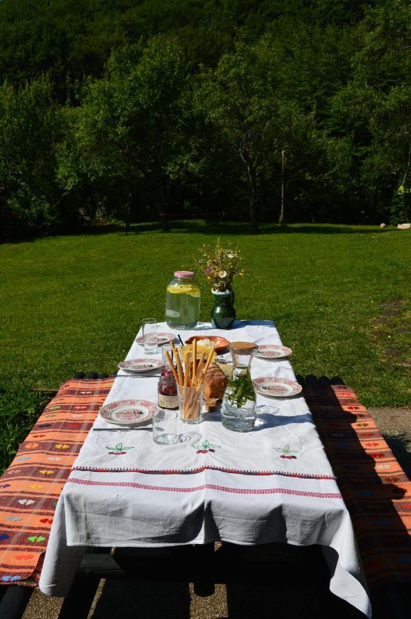Na Okic - A Private Forest Oasis Sveti Martin pod Okicem Exterior foto