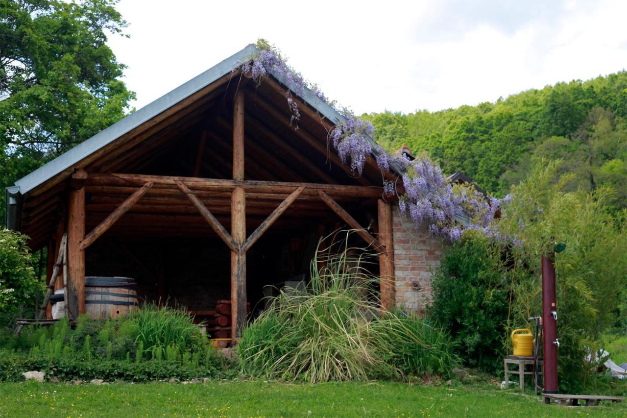 Na Okic - A Private Forest Oasis Sveti Martin pod Okicem Exterior foto