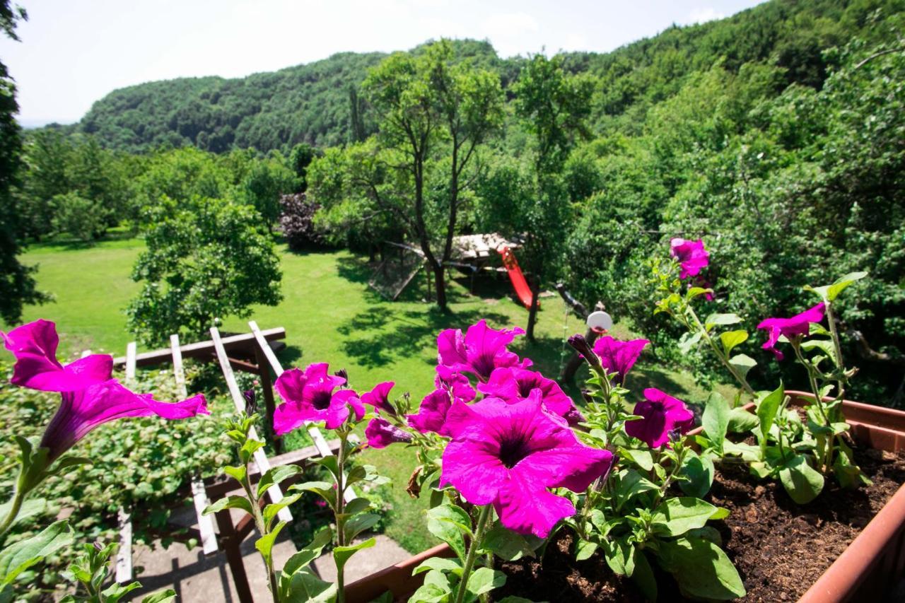 Na Okic - A Private Forest Oasis Sveti Martin pod Okicem Exterior foto